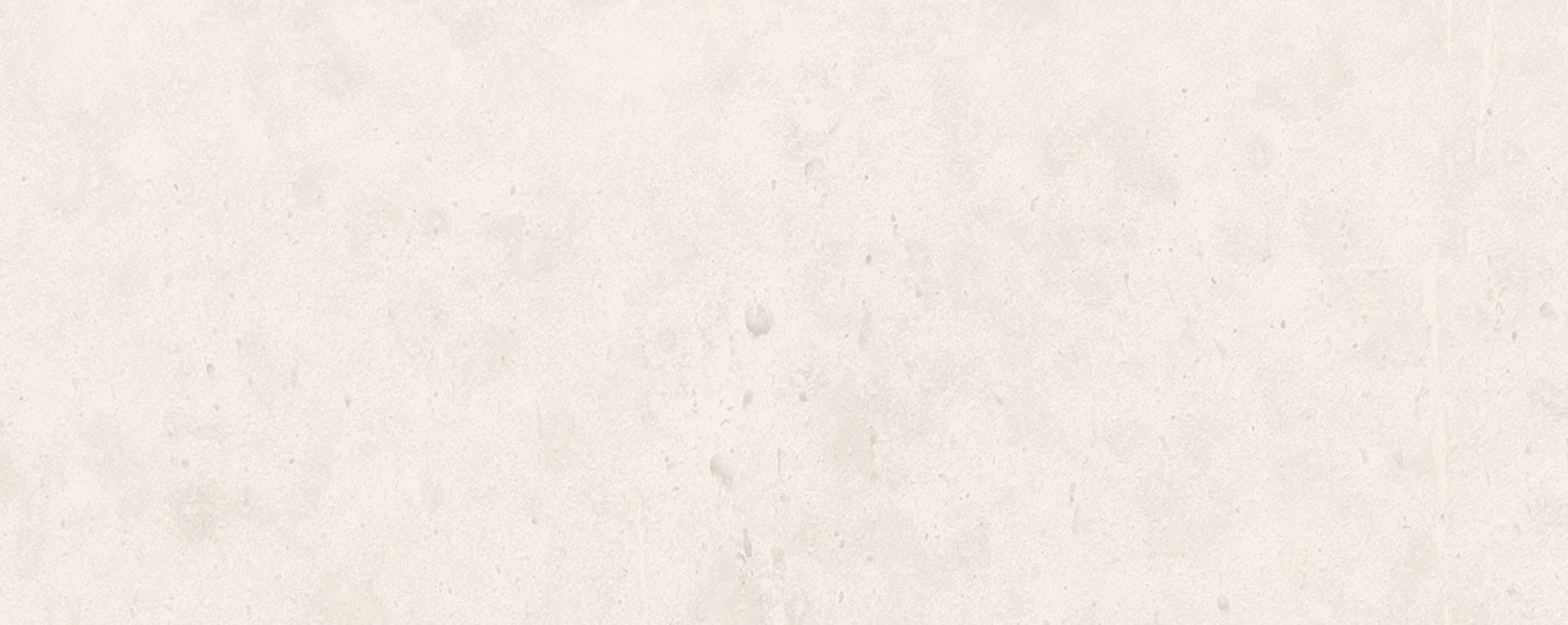 Program Mission Background